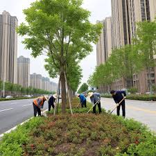 2026美加墨世界杯官网 太湖广场绿化工程中标公示